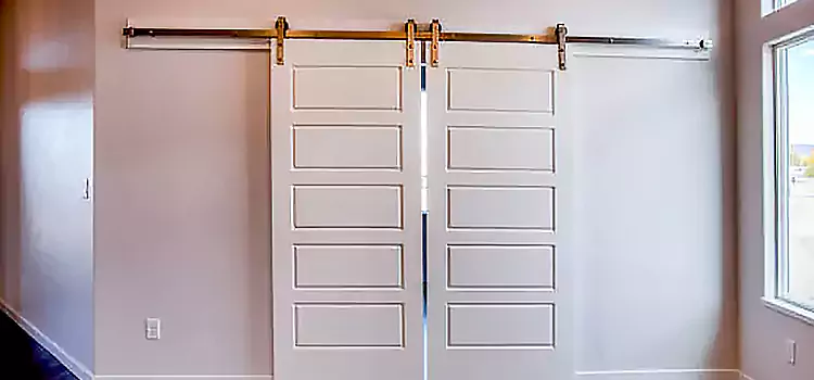 Glass Barn Door with Installation Hardware Kit Richardson