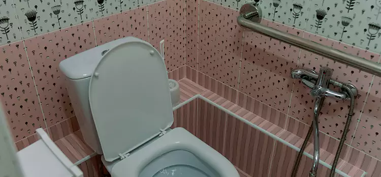 Meeting Diverse Needs With Accessible Restroom Solutions in Richardson, TX
